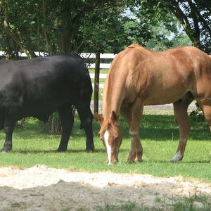 Meet your Posher, Margaret